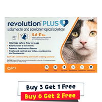 Revolution Plus for Medium Cats 5.5-11lbs (2.5-5Kg) Orange