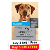 Sentinel Spectrum Blue for Dogs 50.1-100 lbs