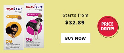 bravecto for dogs discount