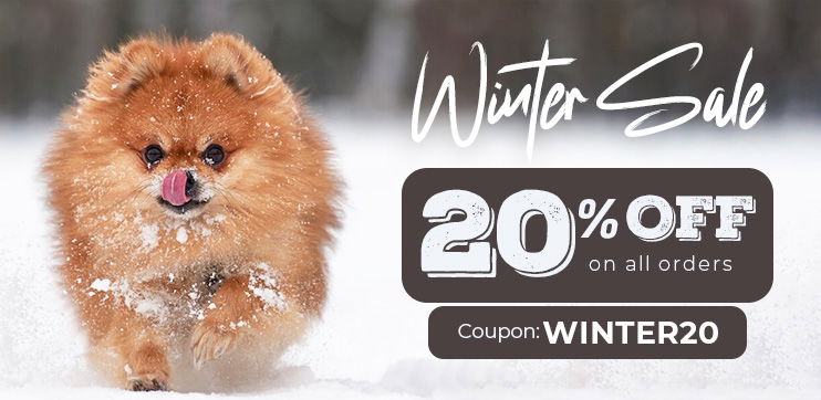 WINTER SPECIAL SALE!