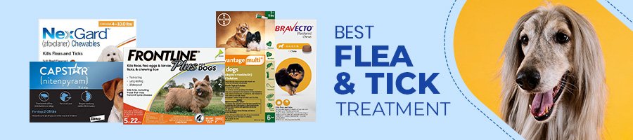 Best Flea & ticks for dogs