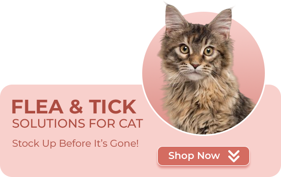 Flea and Tick Cat