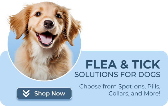 Flea and Tick Dog