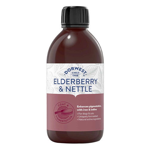 Dorwest Elderberry & Nettle Extract