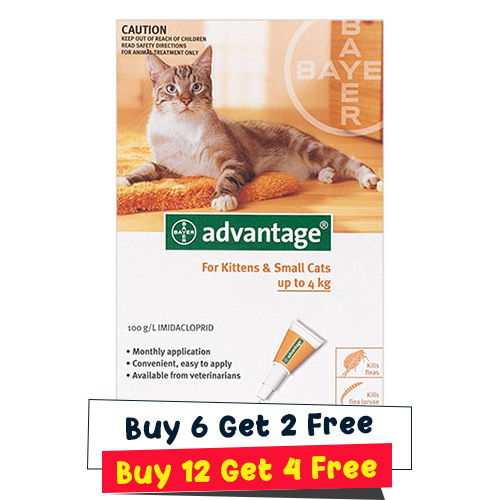 Bayer Advantage flea treatment for cats Best Topical Cat Flea Treatment Cat Flea Spot On Imidacloprid Dosage for Cats