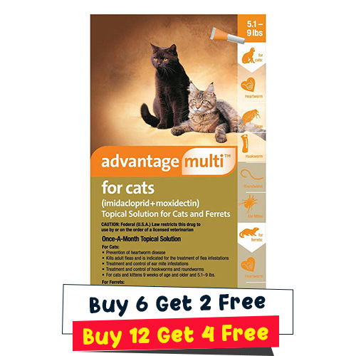 Advantage Multi (Advocate)