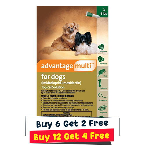 Advantage Multi (Advocate)