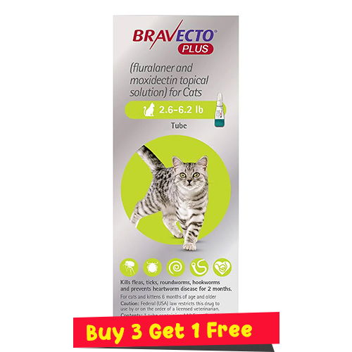 Bravecto Plus